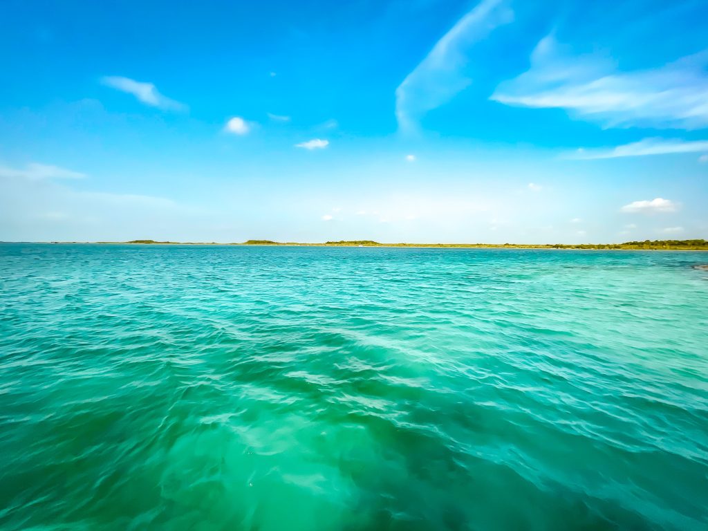 Bacalar