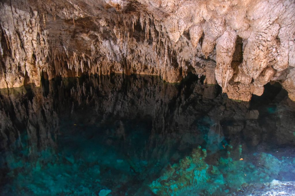 Cenote on the Cenotes Route near Puerto Morelos