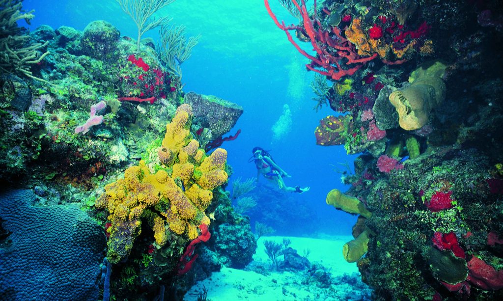 Snorkeling off Isla Mujeres