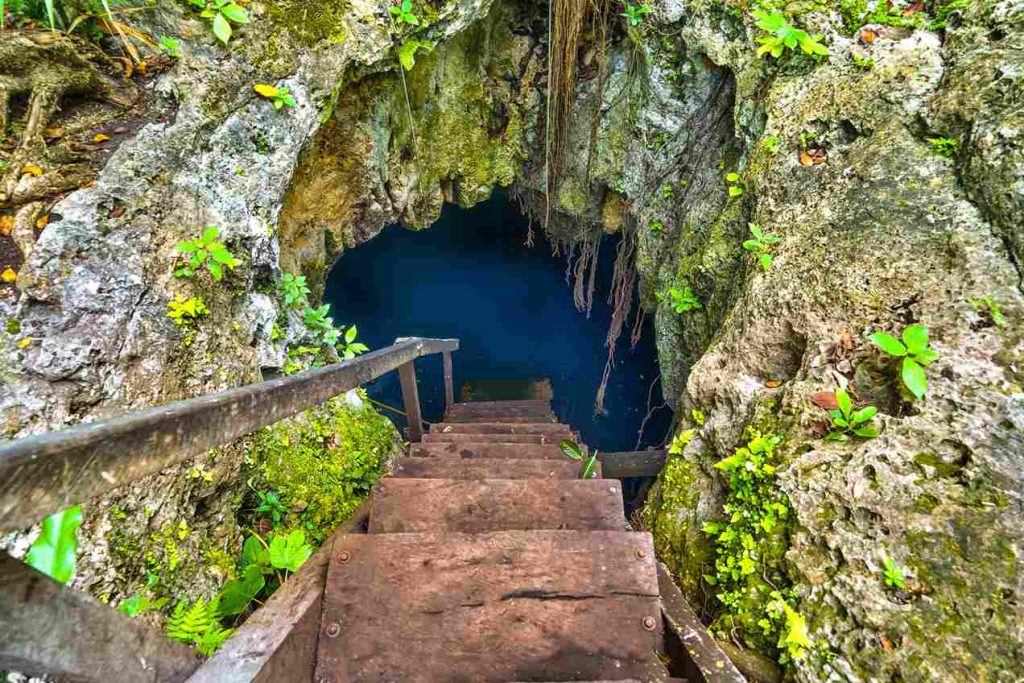 Sunlight entering a cave cenote