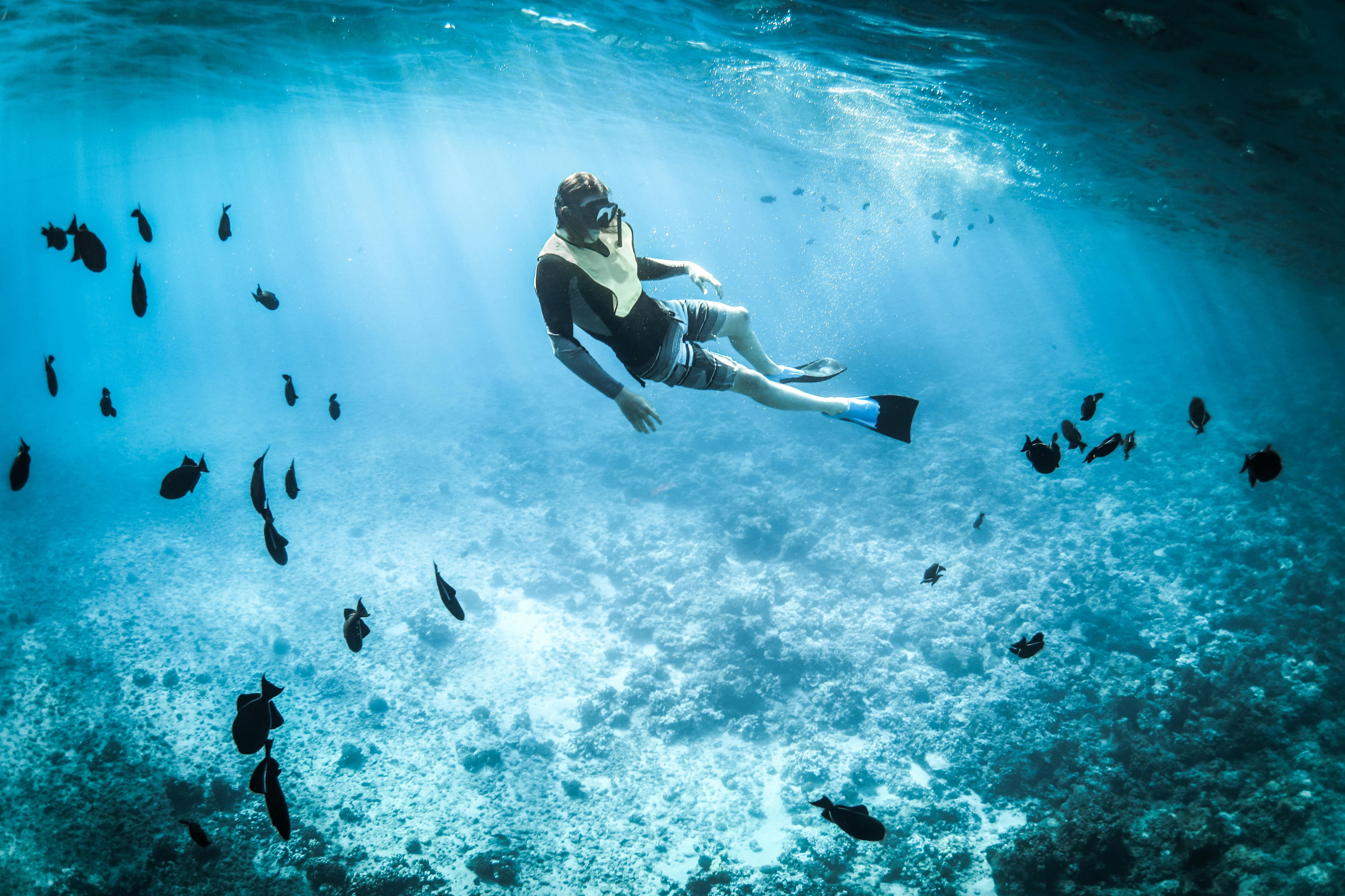Snorkeler surrounded by reef fish over a coral garden
