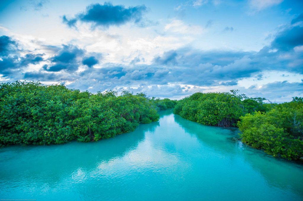 Maya Ka’an landscape