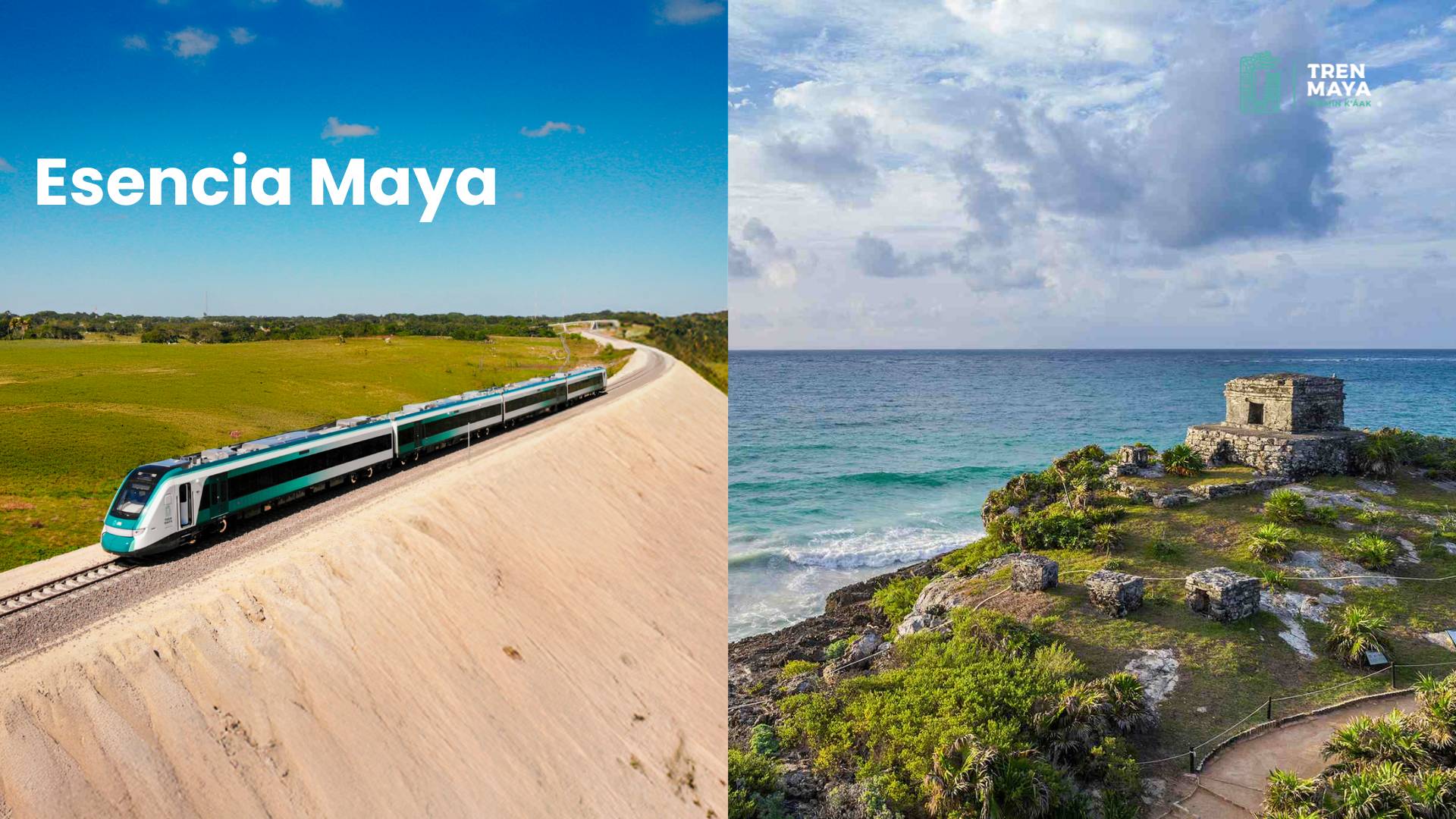 Branded Residence Vs Standard Condo Mexico — investment corridor