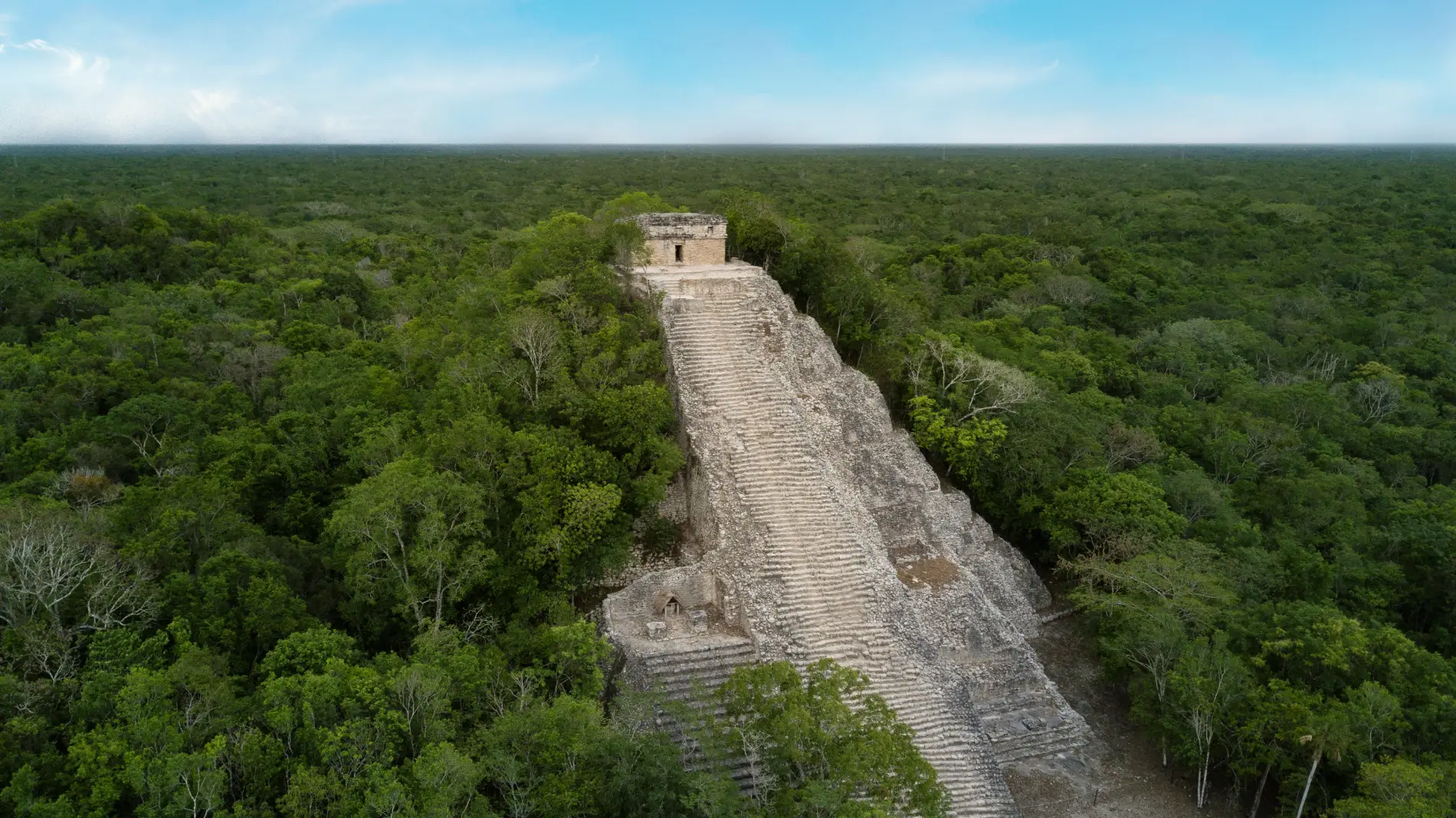 Cobá: Misterio en la selva