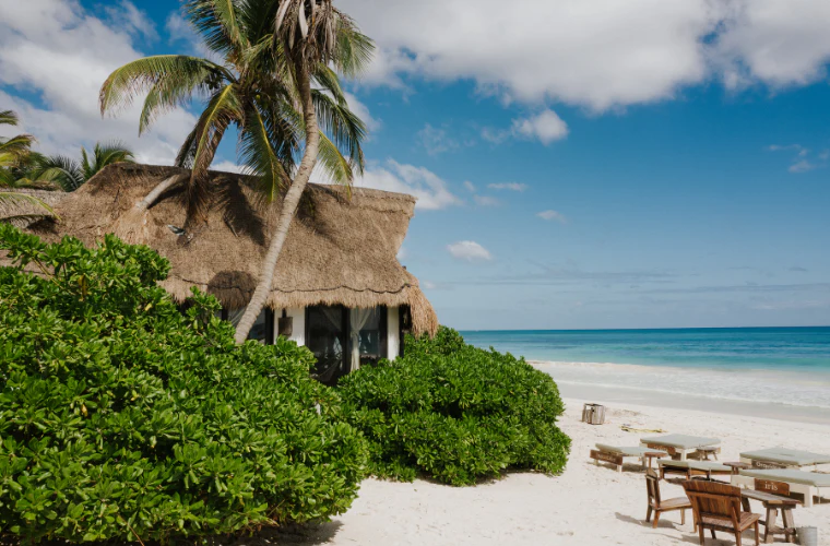Untitled Design 2 — Mexico Beachfront Property Investment buyer context